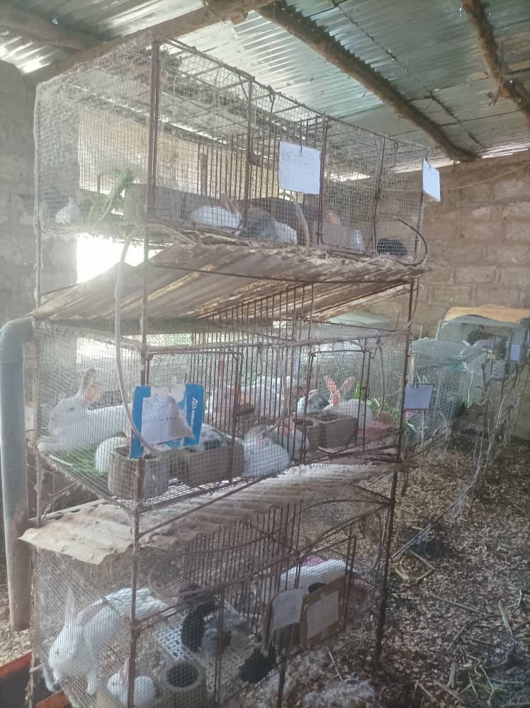 Élevage Responsable