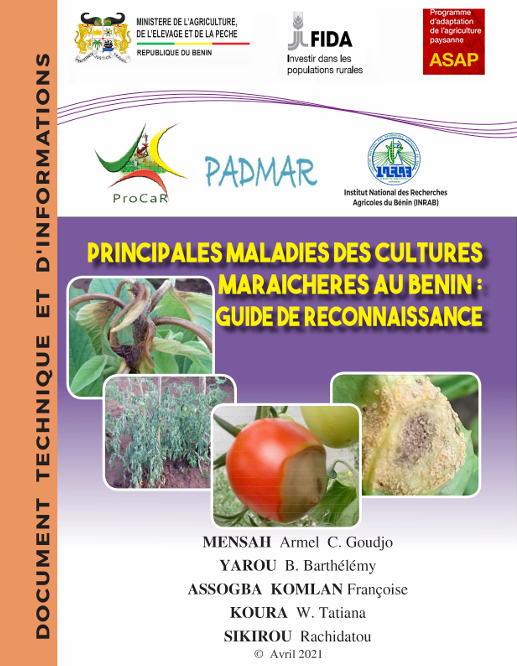 Principales maladies des cultures maraîchères