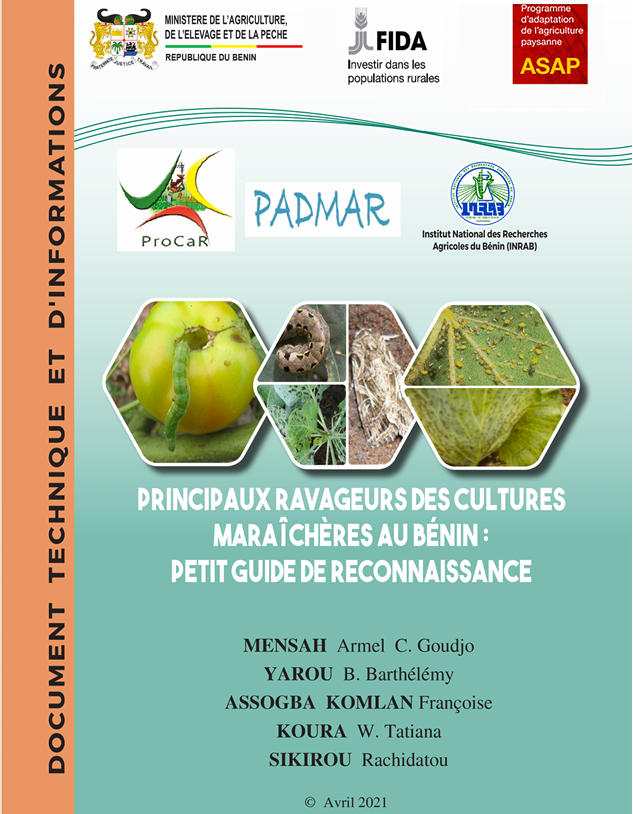 Principaux ravageurs des cultures maraîchères